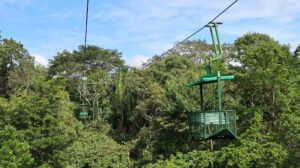 Gamboa Rainforest